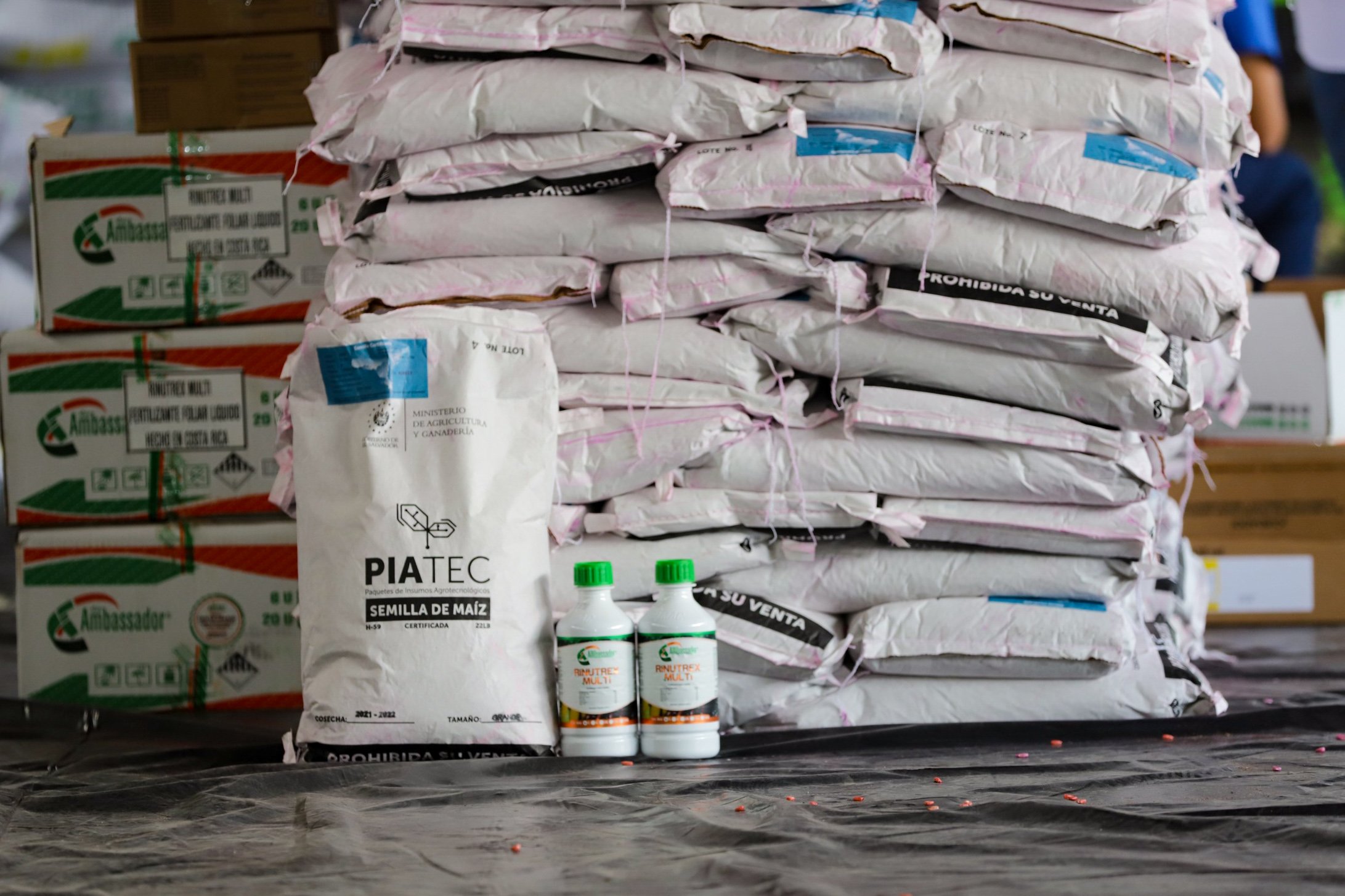 Gobierno aumenta inversión en agricultura para mejorar producción nacional gobierno-aumenta-inversion-en-agricultura-para-mejorar-produccion-nacional